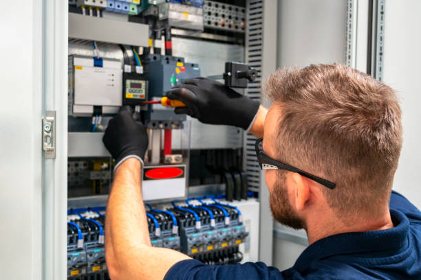 Best Electric Panel Repair  in Port Arthur, TX
